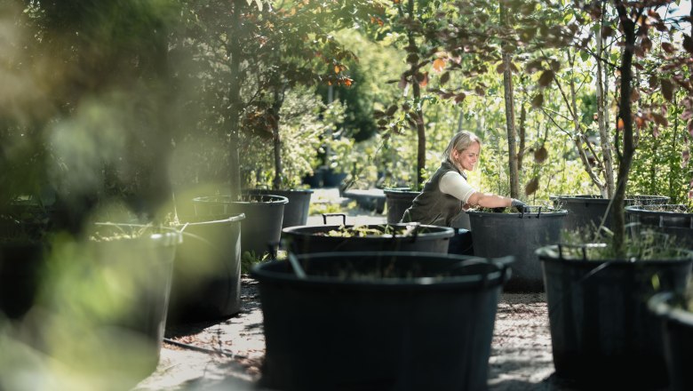 Starkl adventure garden, © Moststraße, dochbodnliacht