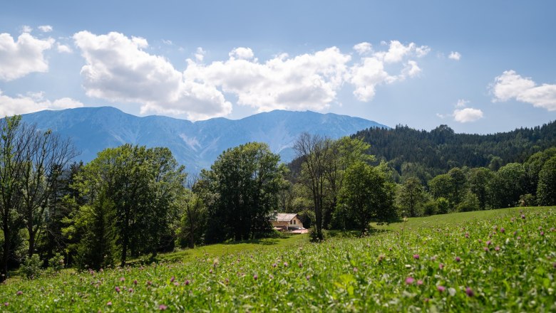Green meadow with trees and a house in the foreground, mountains behind under a blue sky with clouds.