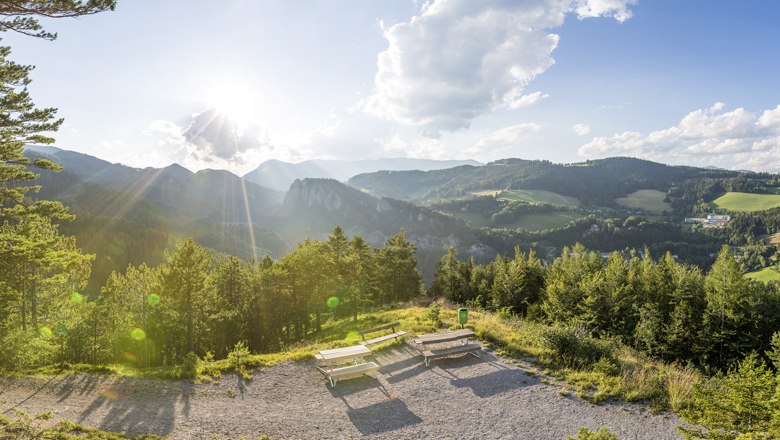 Viewpoint "20-Schilling-View", © Wiener Alpen - Zwickl