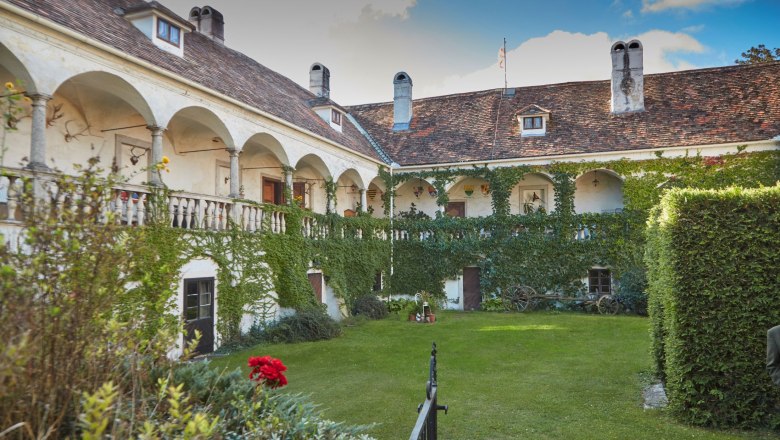 Inner courtyard of a historic castle with arcades and ivy growth.