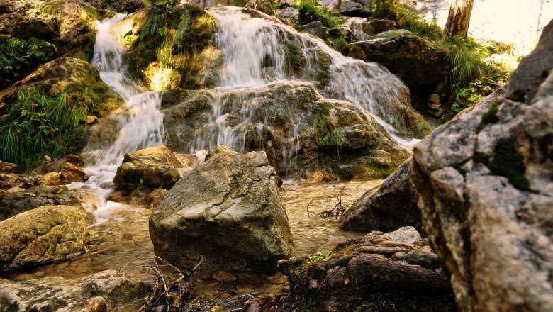 A small waterfall flows over moss-covered rocks in a forest.