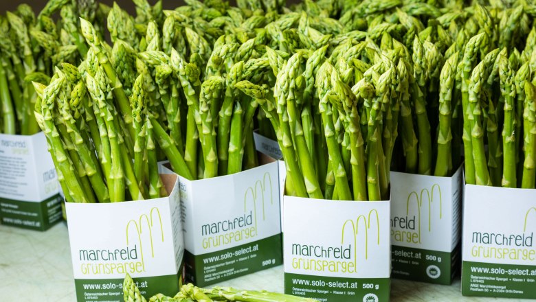 Green asparagus, Spargelhof Magoschitz, Mannsdorf/Donau, © Spargelhof Magoschitz