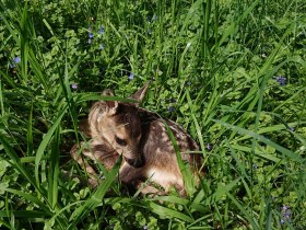 &Uuml;berraschende Entdeckungen am Wegesrand, &copy; VSE, Heindl Astrid
