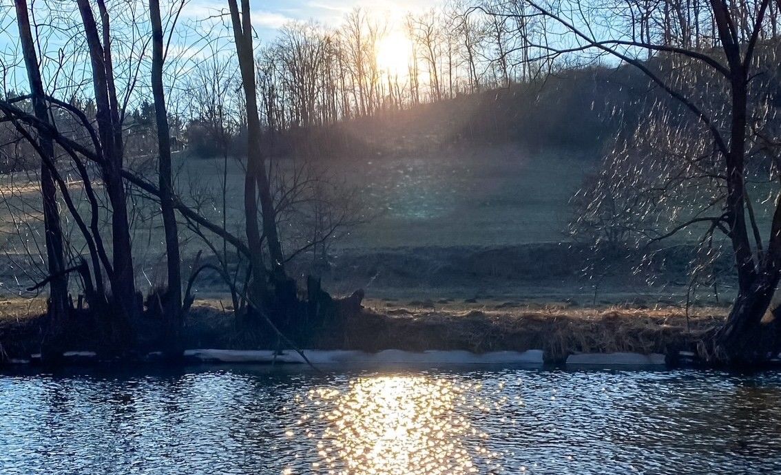 Sunset behind trees at the edge of a forest with a river in the foreground.