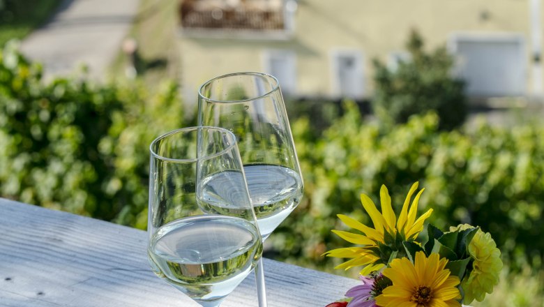 In the vineyards, &copy; Carmen Auer
