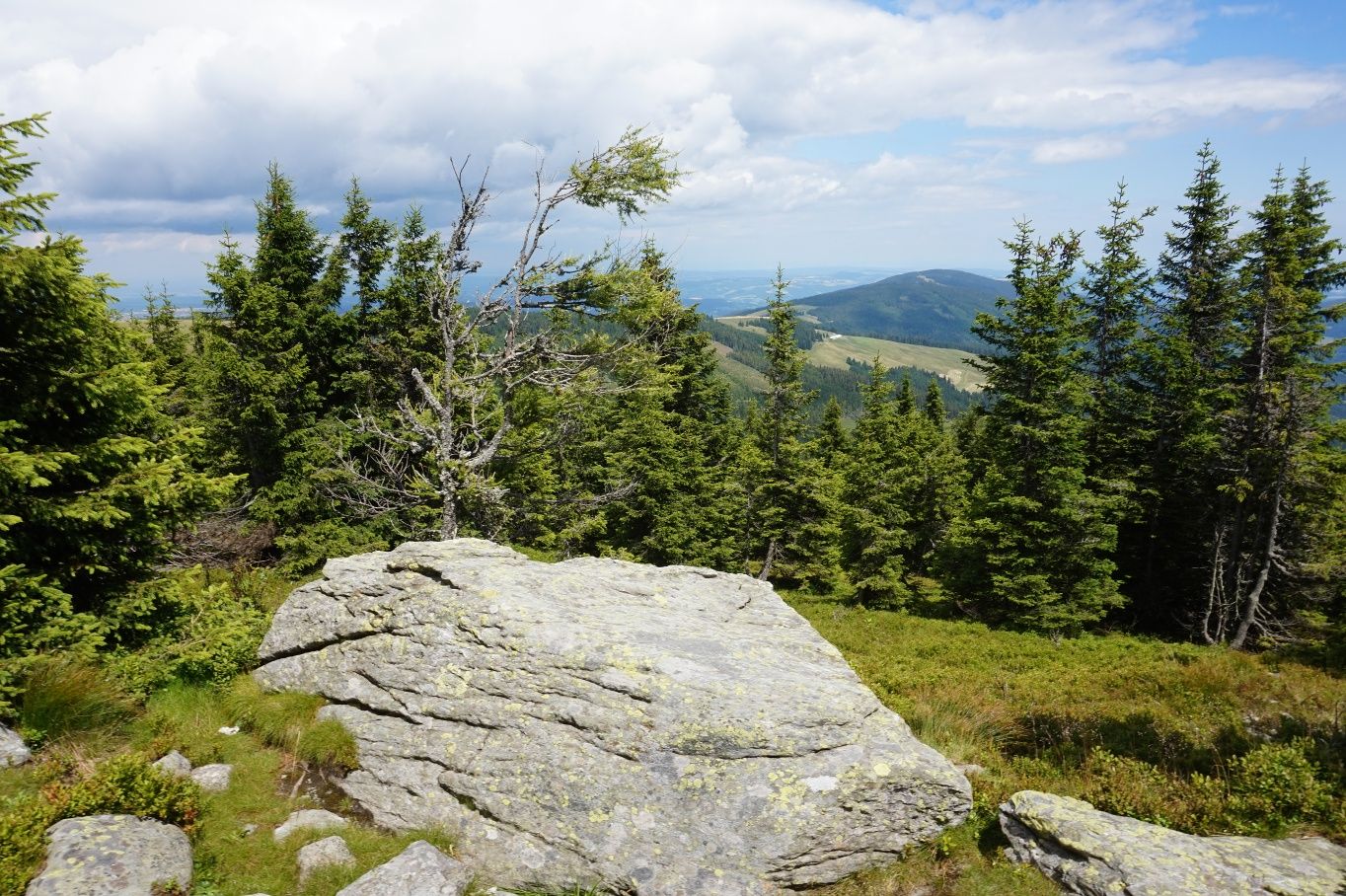 alpannonia - Regional route Rettenegg - Pretul
