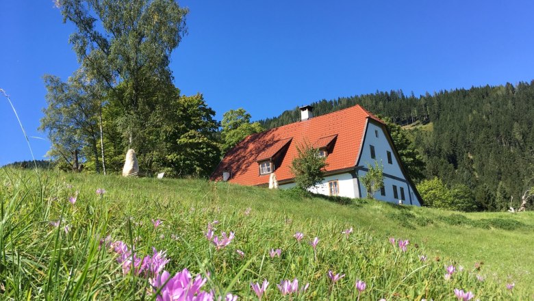 Vacation cottage Hinterbreiteneben, &copy; Johannes Hoyos