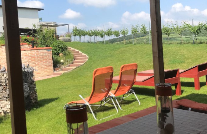 View from a terrace onto a garden with sun loungers and vines in the background.