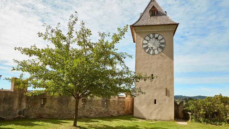 A clock tower with Roman numerals next to a tree in a meadow, surrounded by an old stone wall.
