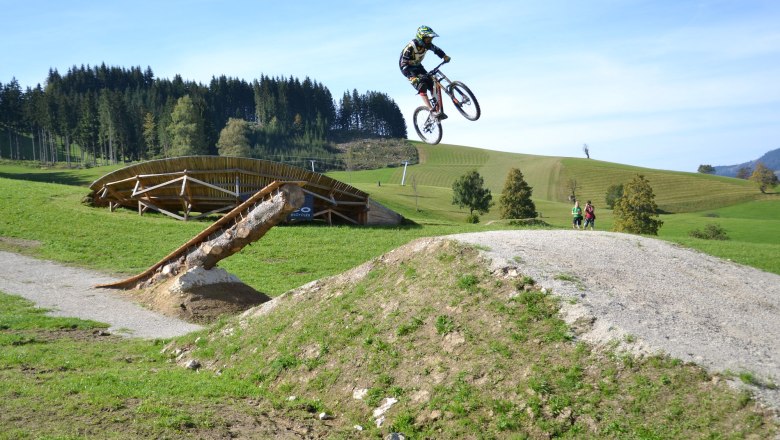 Mountain biker jumps over a ramp in the Königsberg bike park.
