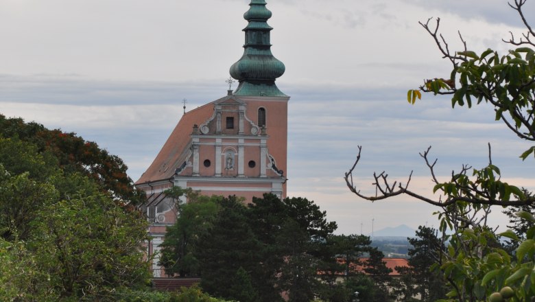 Church with green tower and vineyard in the foreground.