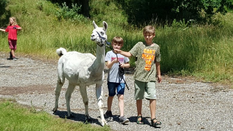 Spaziergang mit den Lamas, © AWA-Erlebnispark GmbH