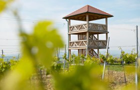 Engabrunn lookout point, &copy; Franz Zwickl, artgraphic photo