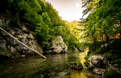 Das Höllental verzaubert mit seiner unberührten Natur und dem klaren Wasser, das sanft durch die grüne Landschaft fließt. Umgeben von majestätischen Felsen und üppigen Wäldern, lädt dieser Ort zum Entspannen und Erkunden ein.