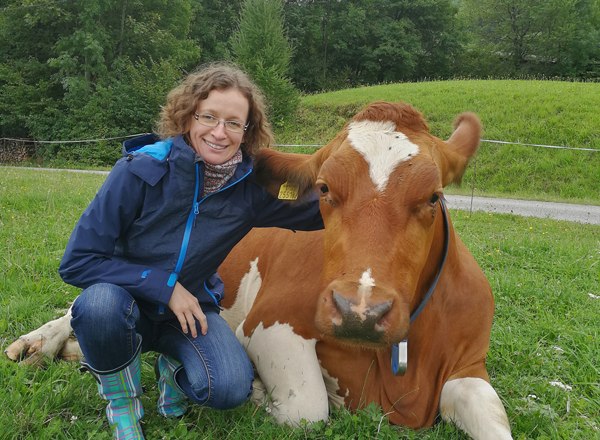Ilsinger and cow, © Familie Erber