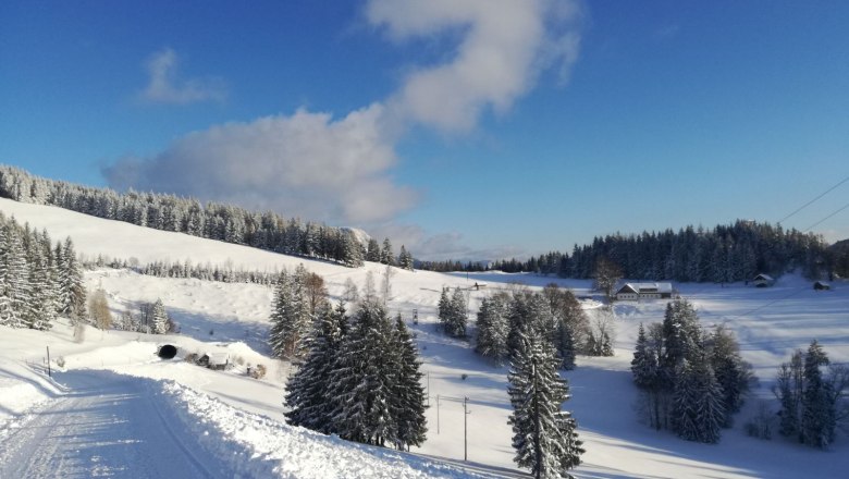 Winter landscape, © Erika Pieber