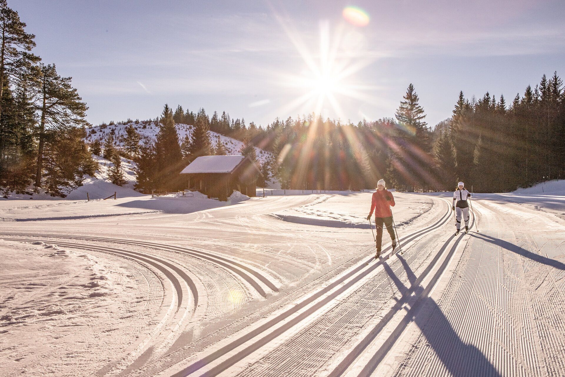 Die glitzernde Schneedecke erstreckt sich unter einem strahlend blauen Himmel, während zwei Langläufer in harmonischem Rhythmus durch die winterliche Landschaft gleiten. Die frische, klare Luft und die majestätischen Tannen schaffen eine friedliche Atmosphäre, die zum Verweilen einlädt.