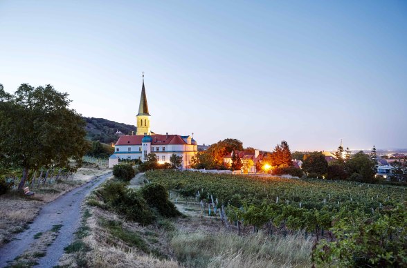 Wine autumn in Vienna Woods, © Hauke Dressler