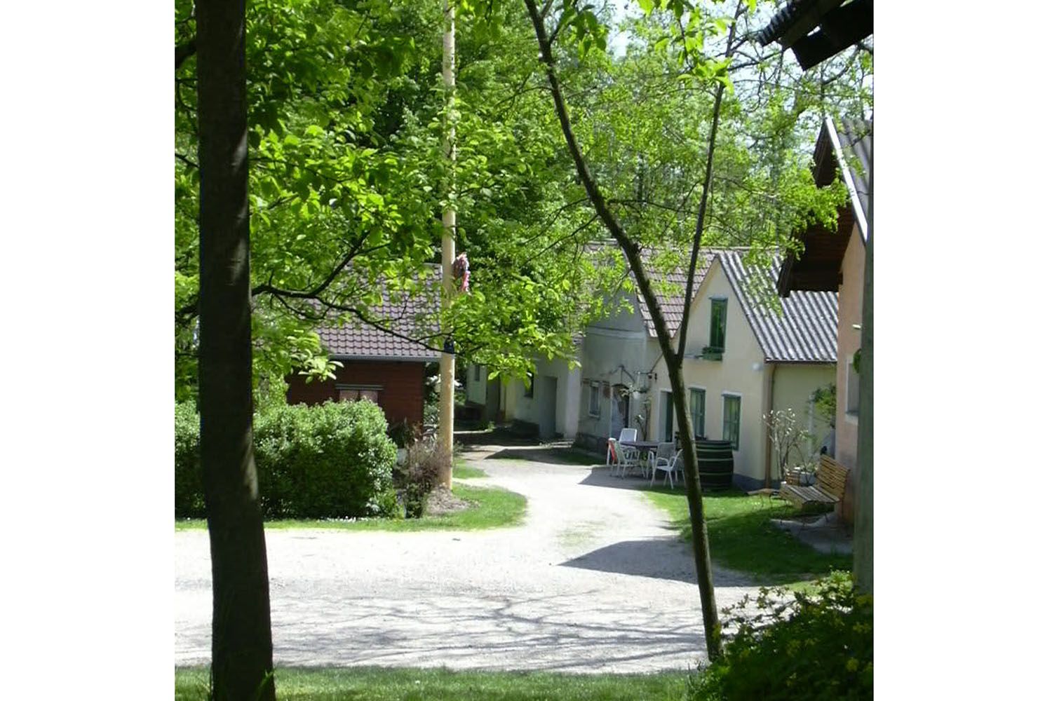 An idyllic wine cellar lane with small houses and lots of greenery in spring.