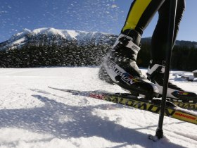 Langlaufen auf der Trainingswiese, &copy; schwarz-koenig.at