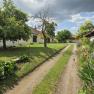 Rural path with trees and flowers, cloudy sky.