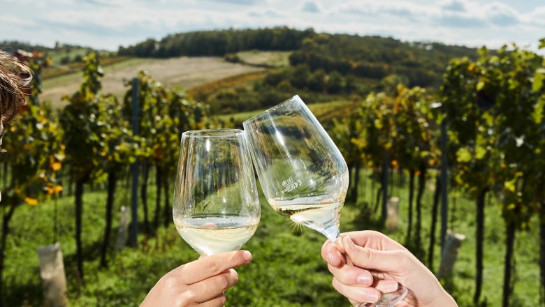 Two people clink glasses in a vineyard.