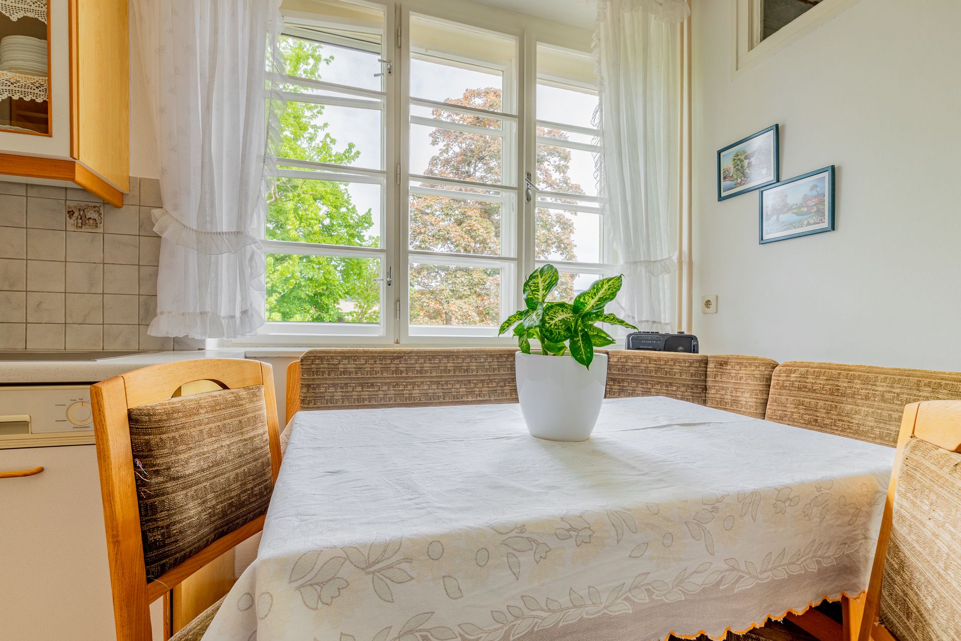 A bright room with a table with a plant on it and a large window with a view of trees.