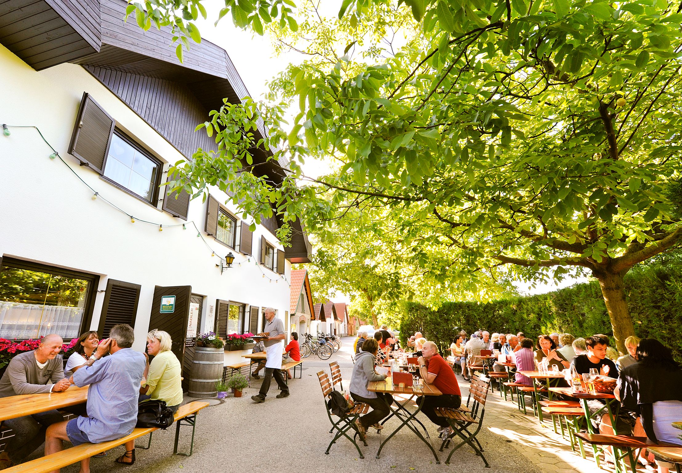 People sitting at outdoor tables under trees at a wine tavern.