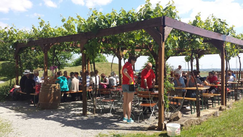 People sit under a vine-covered pergola in the open air.