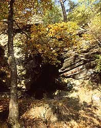 women swallow, &copy; Gemeinde P&ouml;lla