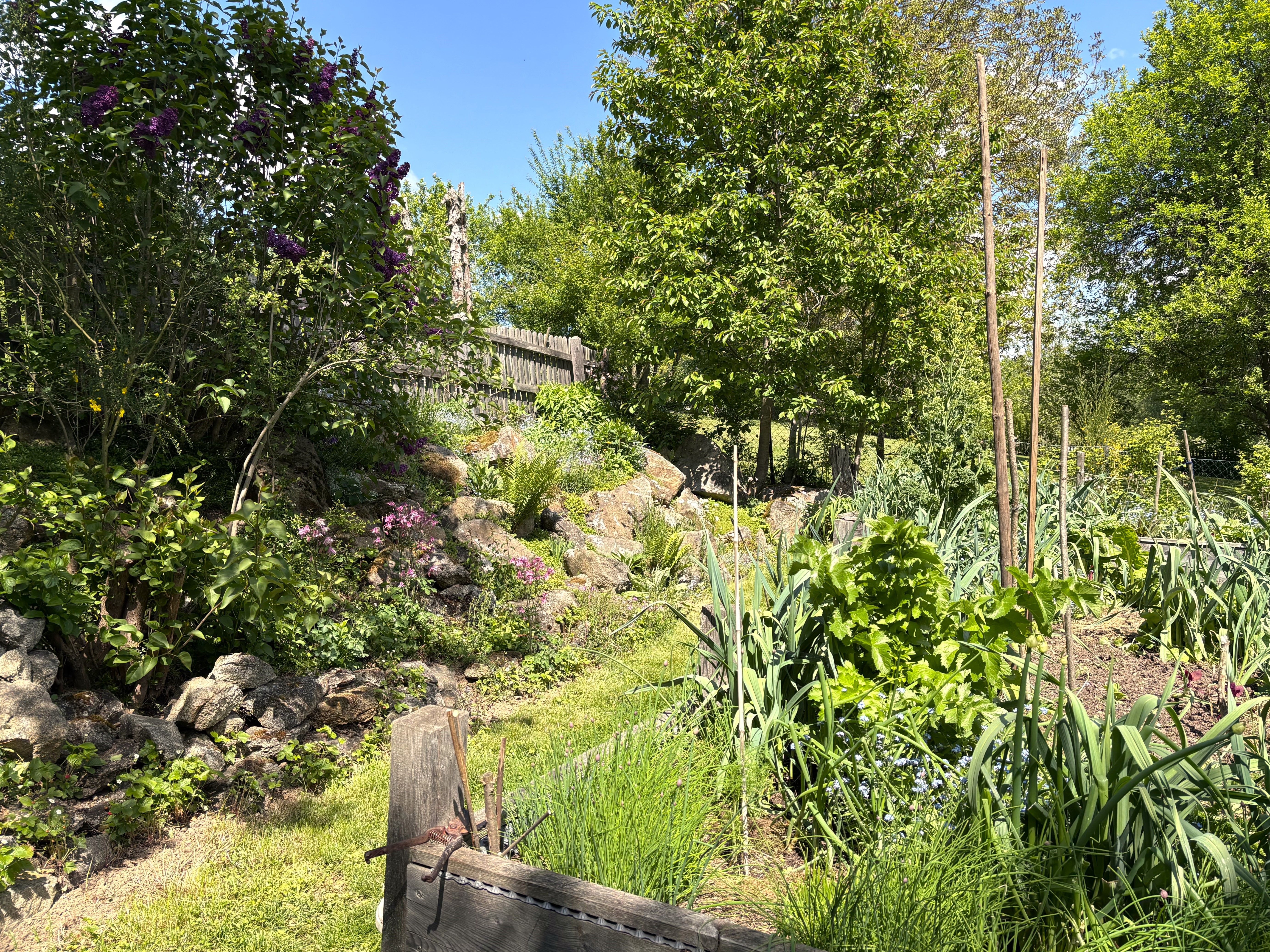 A lush garden with flowers, trees and vegetable patches under a blue sky.
