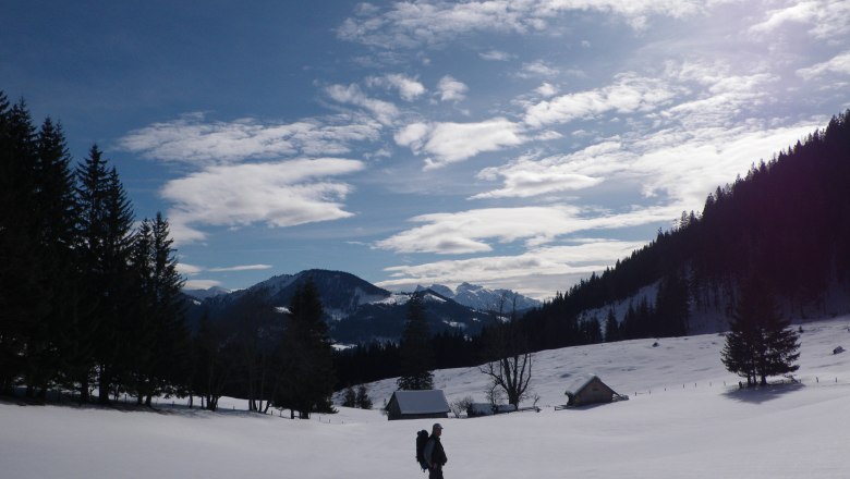 Snowshoe hiking, © Gasthof Stiegenwirt