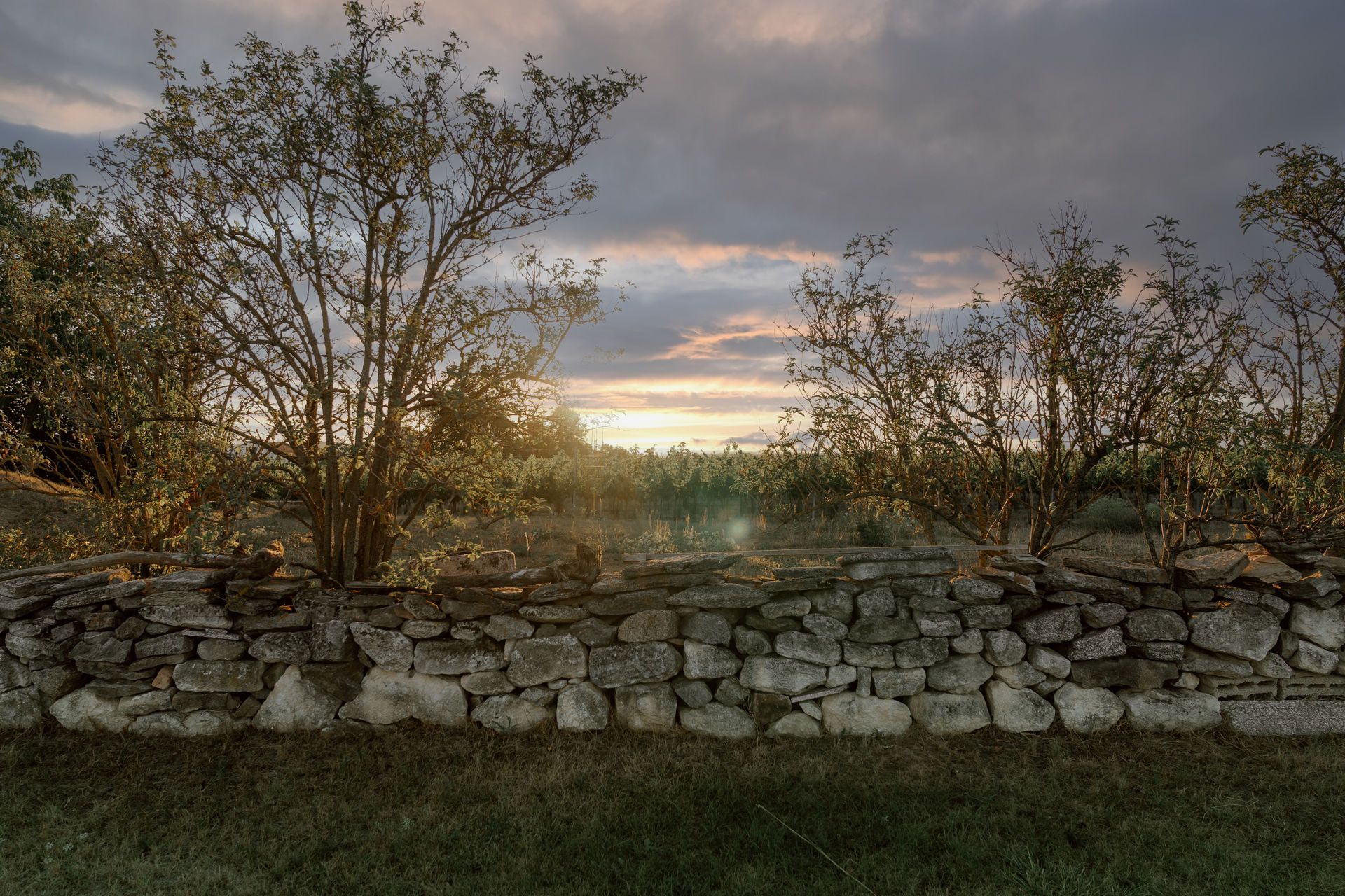 Natural stone wall in the garden with trees in the background at sunset.
