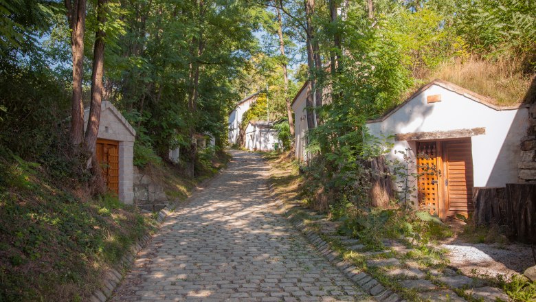 A paved path leads through a forest with small houses built into the hillside.