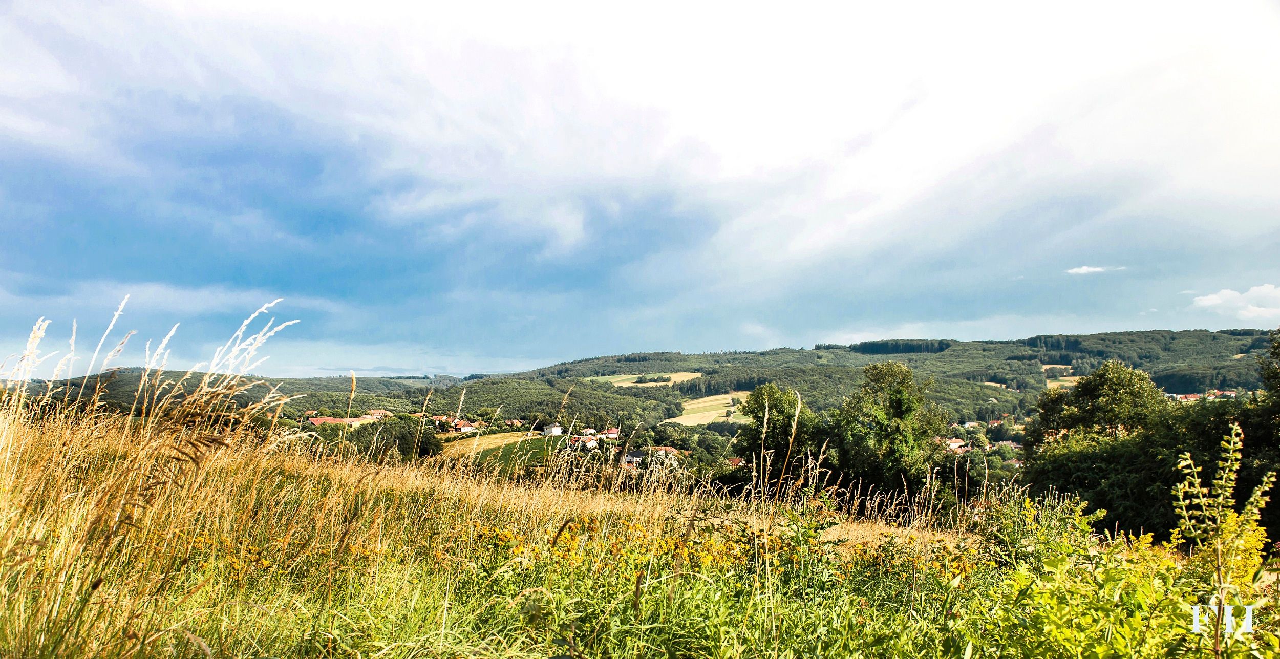Landscape with meadows, hills and a cloudy sky in Sieghartskirchen.