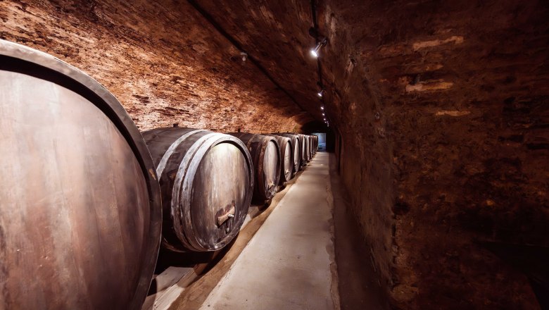 A wine cellar with large wooden barrels against a brick wall.