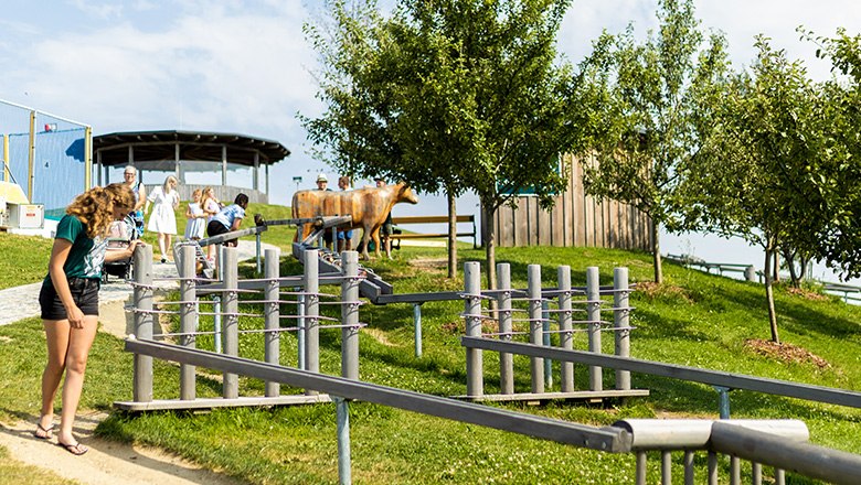 Wooden marble runs on a green meadow, with children and trees next to them.
