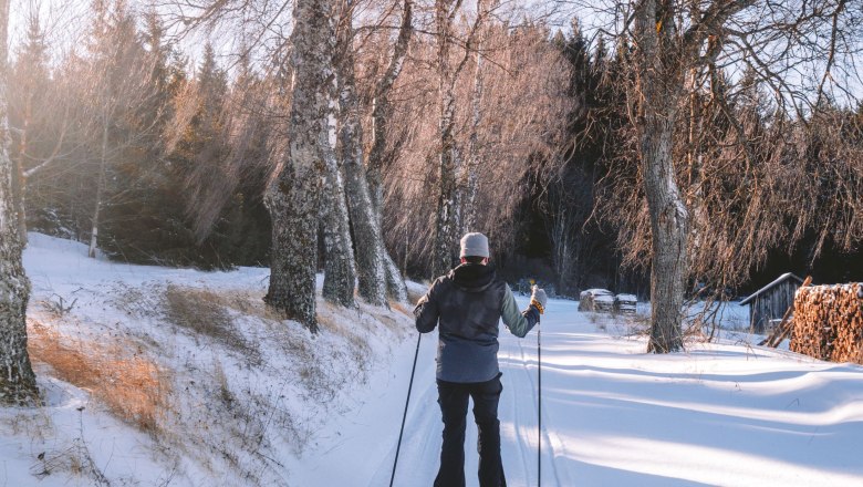 Person cross-country skiing on a snow-covered trail, surrounded by trees and sunlight.