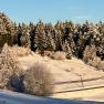 Snowy landscape with forest and small house in the background.