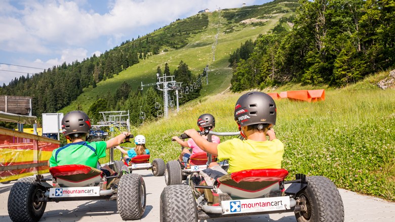 People ride down a mountain on mountain carts.