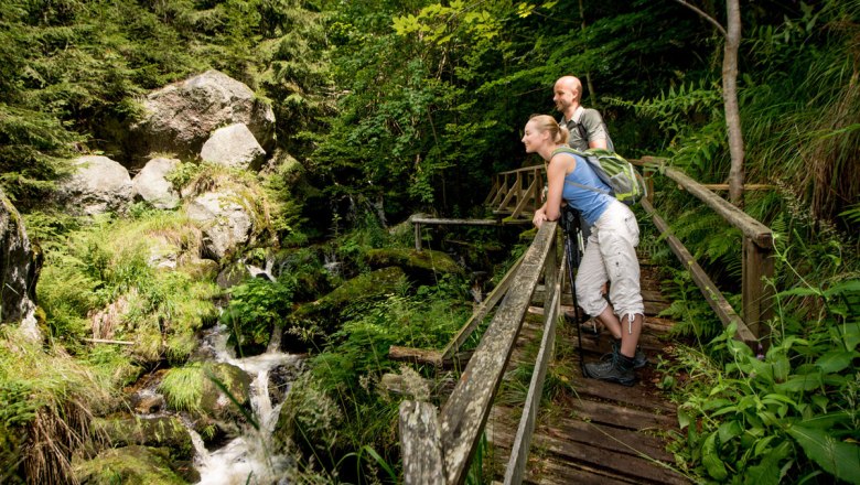 Walk through the Ysperklamm gorge, © Waldviertel Tourismus/www.ishootpeople.at