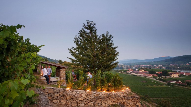 weingarten_daemmerung_c_urbanushof-_-leonhard-hilzensauer_preview, &copy; Leonhard Hilzensauer