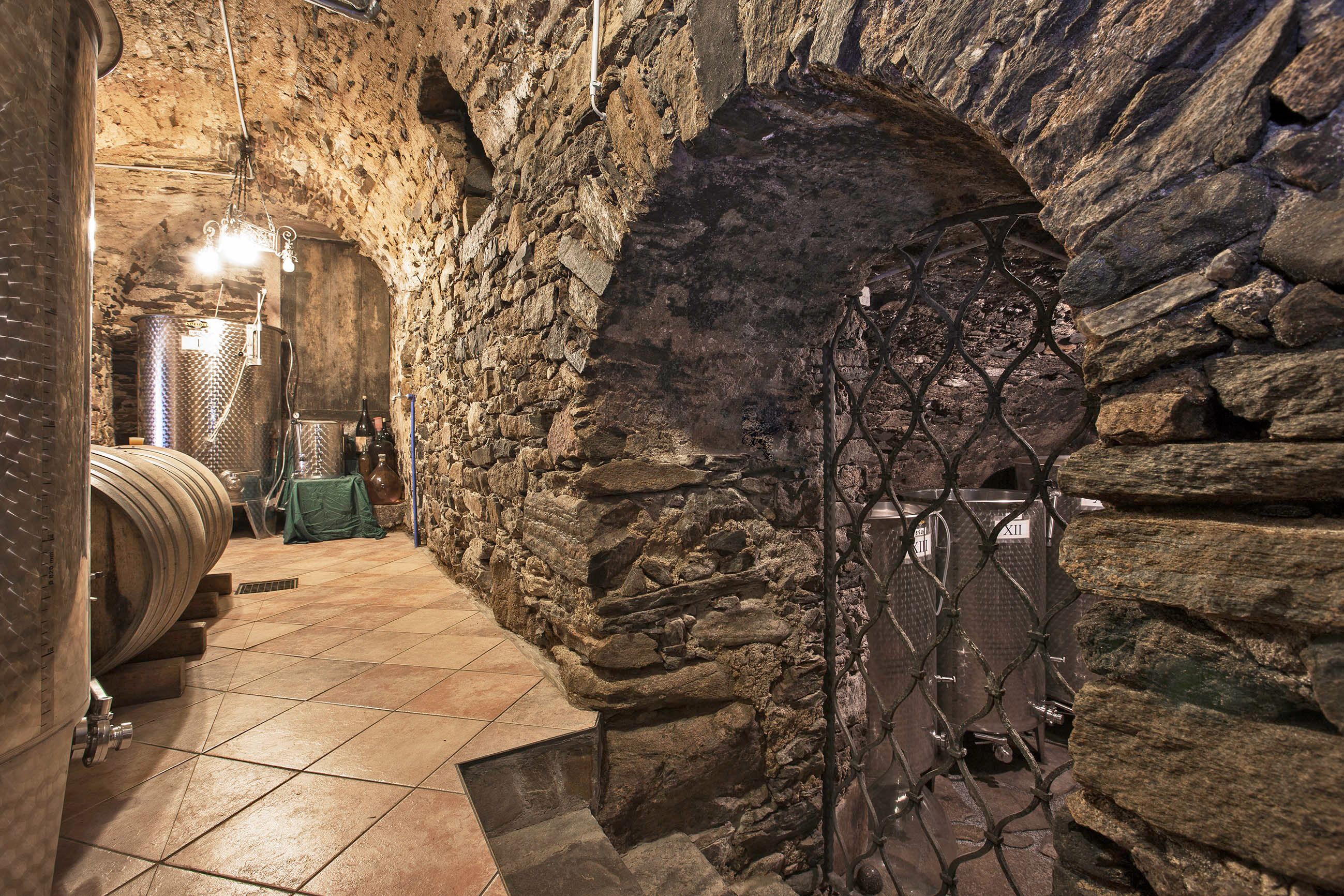 Wine cellar from the Kellermandl organic winery