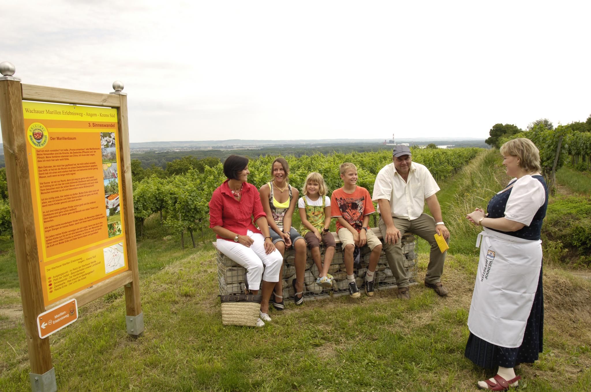 Group of people sitting on crates next to a sign on a vineyard.