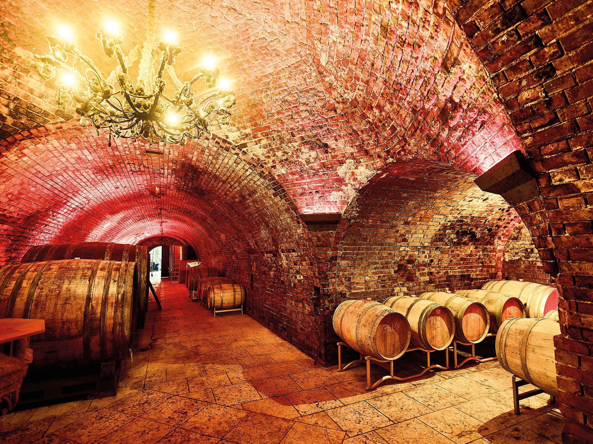 A wine cellar with brick vaults, wooden barrels and a chandelier.