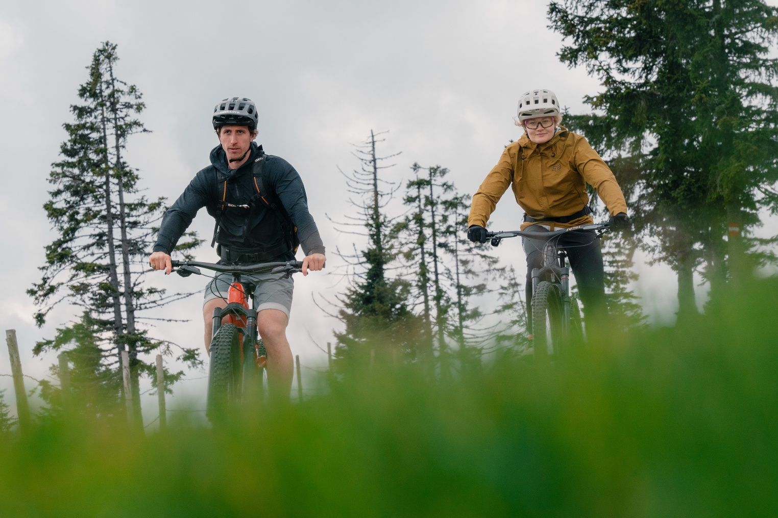 Two mountain bikers ride along a path through a wooded landscape.