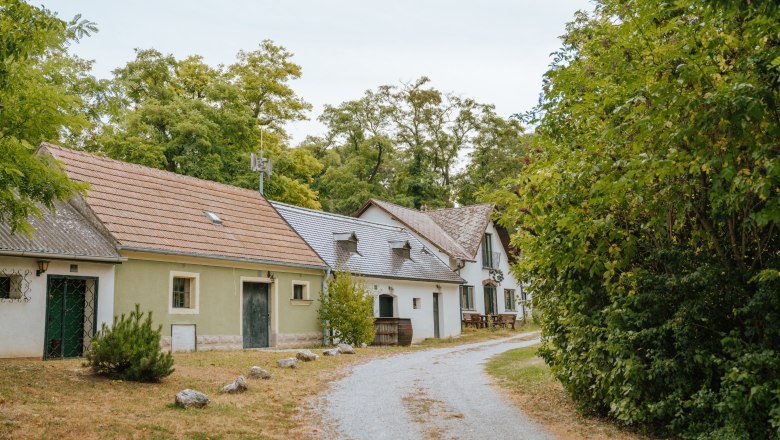 A picturesque wine cellar lane with traditional buildings and trees in Mannersdorf am Rochusberg.