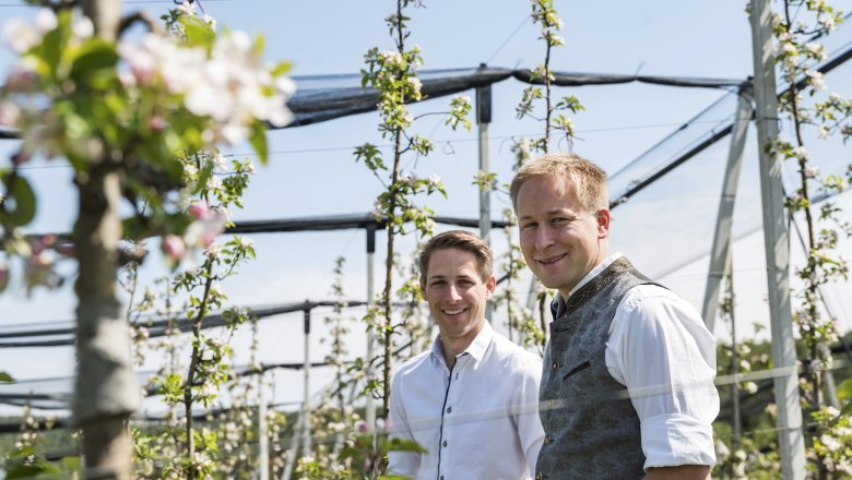 Two men are standing in a blossoming apple orchard.