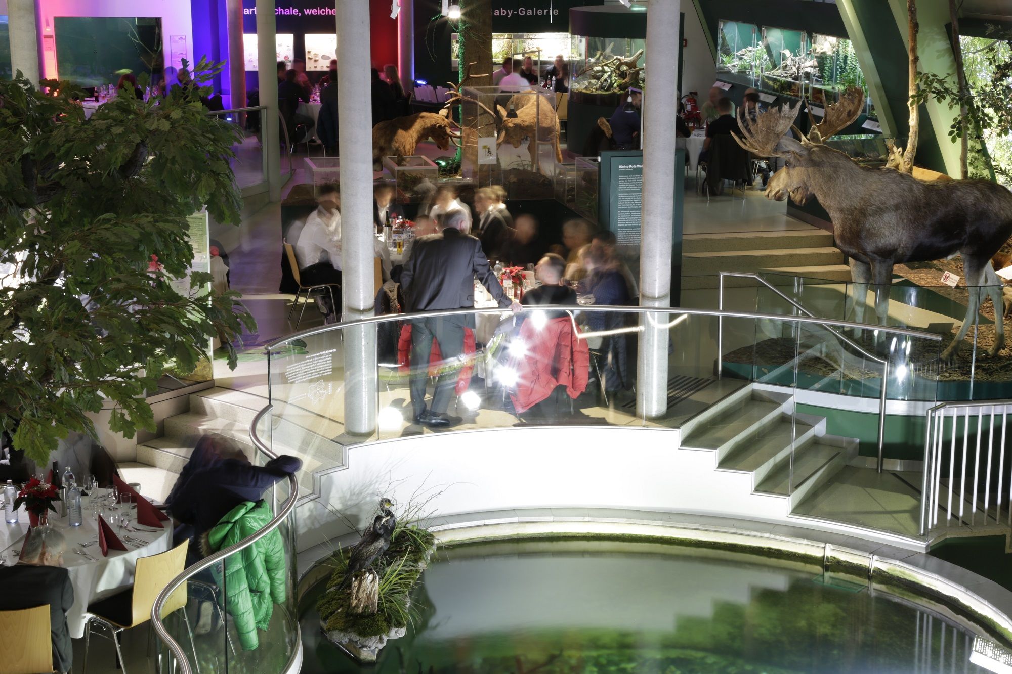 Interior view of the Museum Niederösterreich with stuffed elk and visitors at tables.
