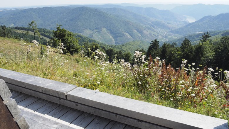 View of a hilly landscape with meadows and forests from a wooden deck.